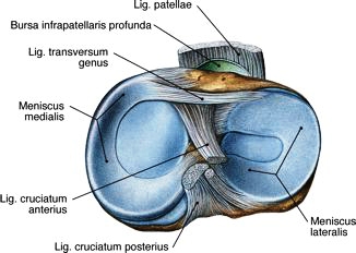 Povrede-ligamenta-kolena