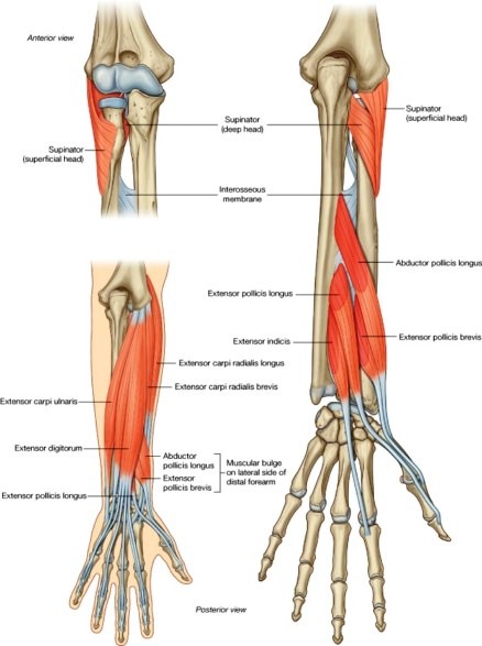metode liječenja artritisa