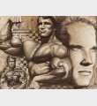 Arnold Training Guide